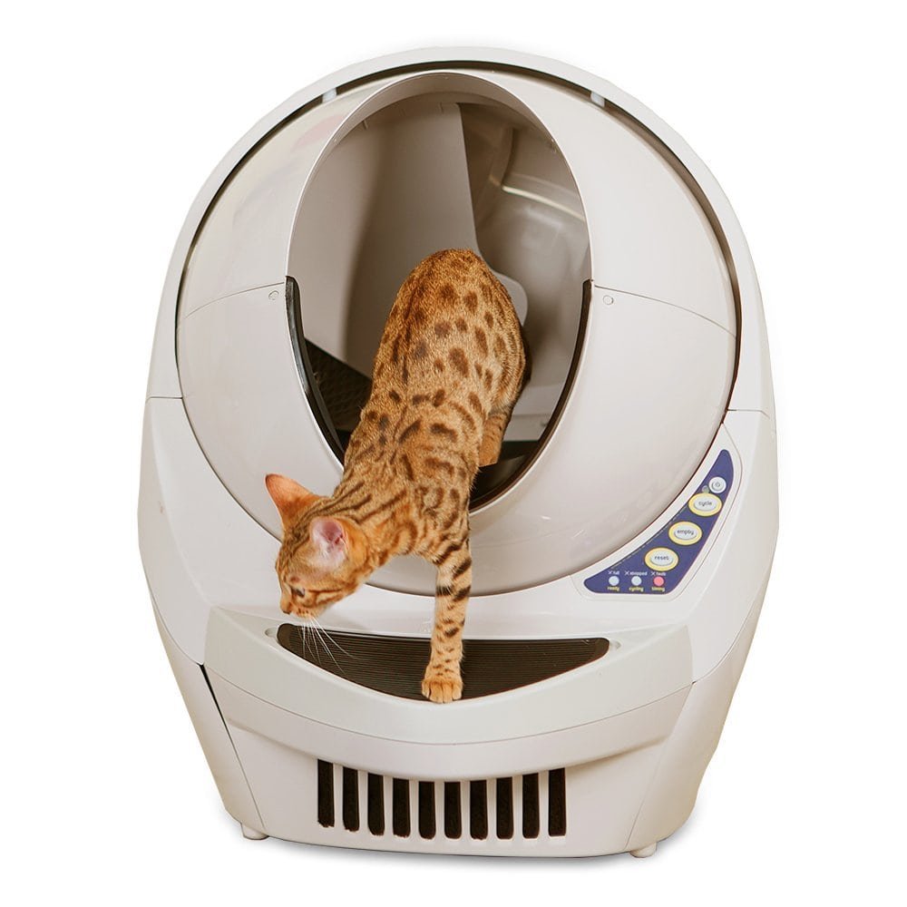 56 Best Images Clever Cat Litter Box Reviews : How To Get Your Cat Used To a New Litter Box | Cat Litter ...